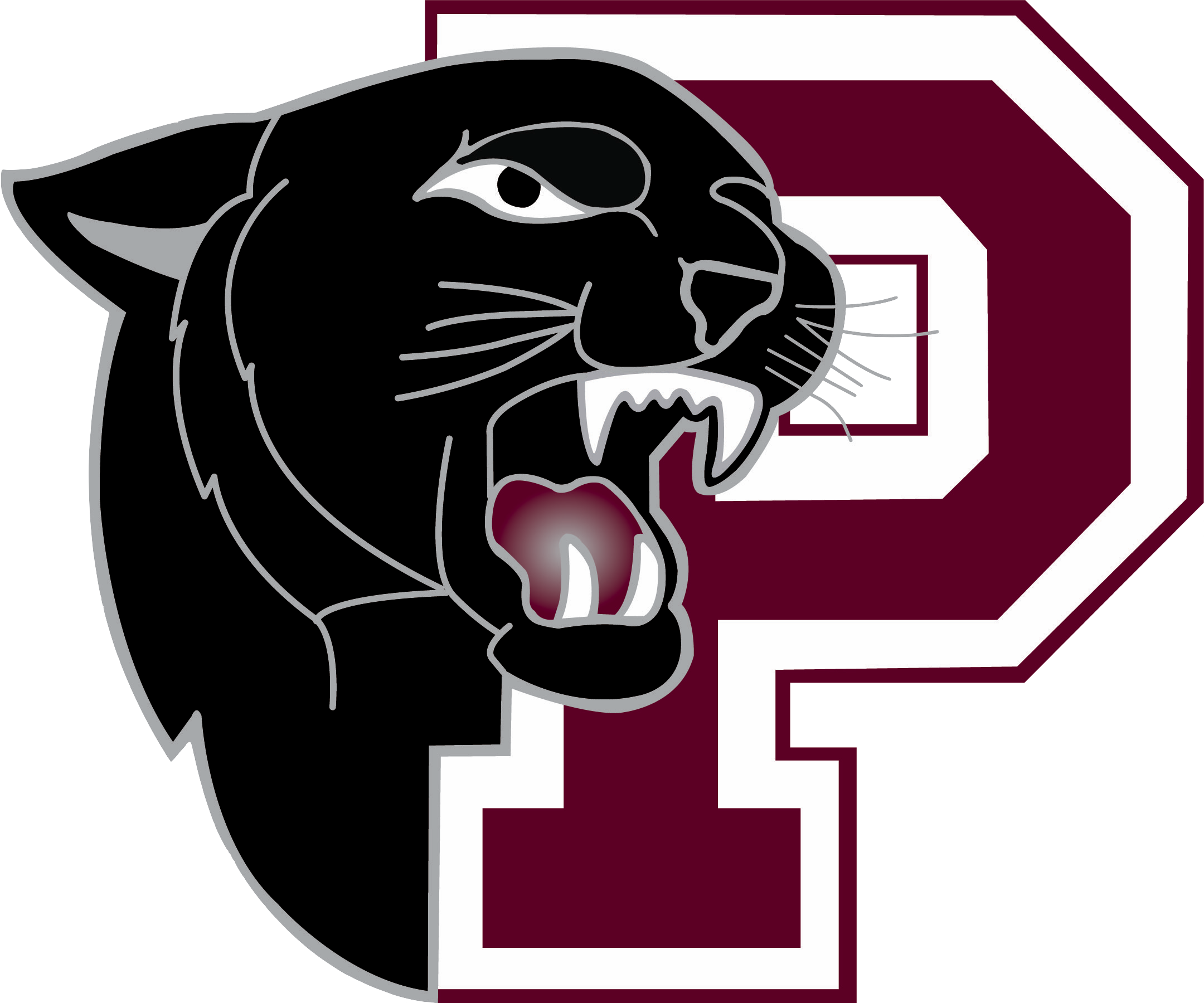 District Logo